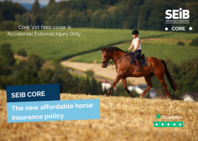 SEIB Core Insurance