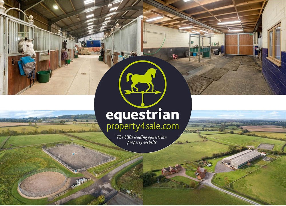 equestrian property 4 sale ashorne