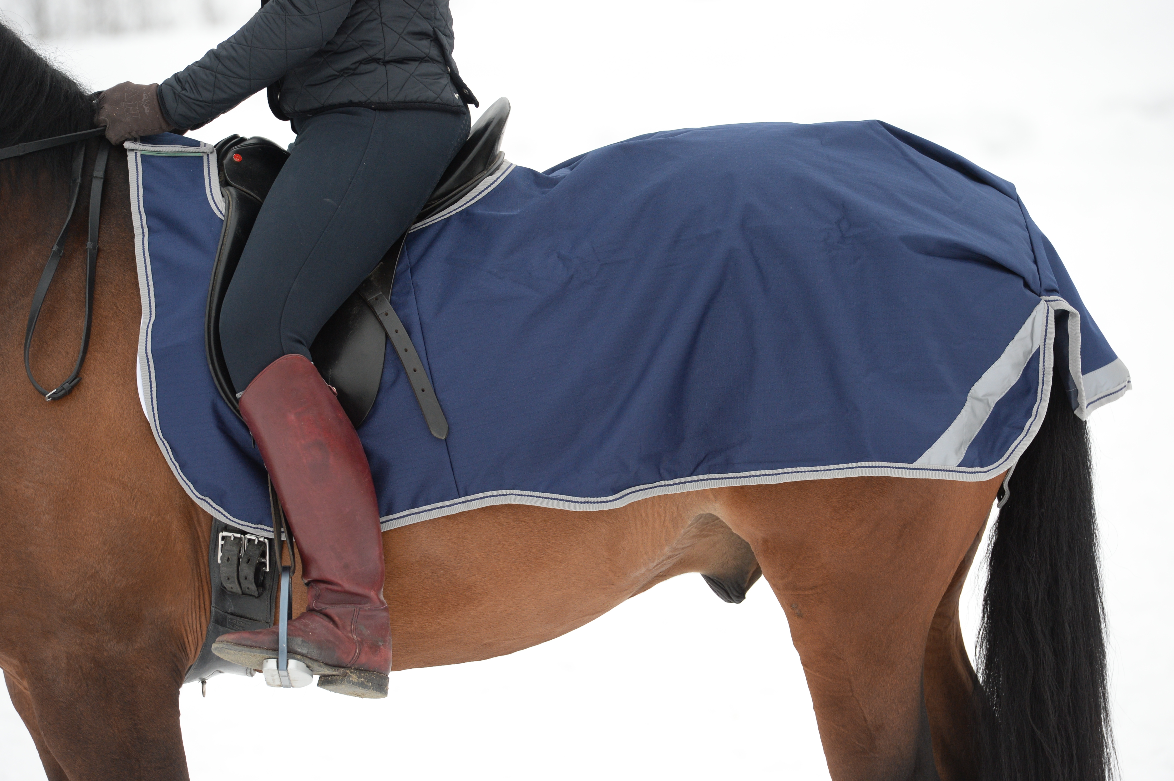 Freedom Riding Rug