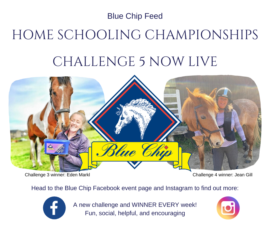 Blue Chip hOME sCHOOLING cHALLENGE 5