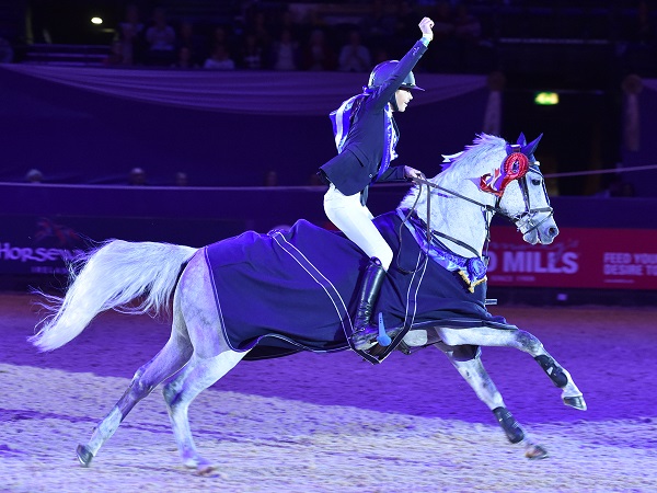 blue chip pony newcomers HOYS