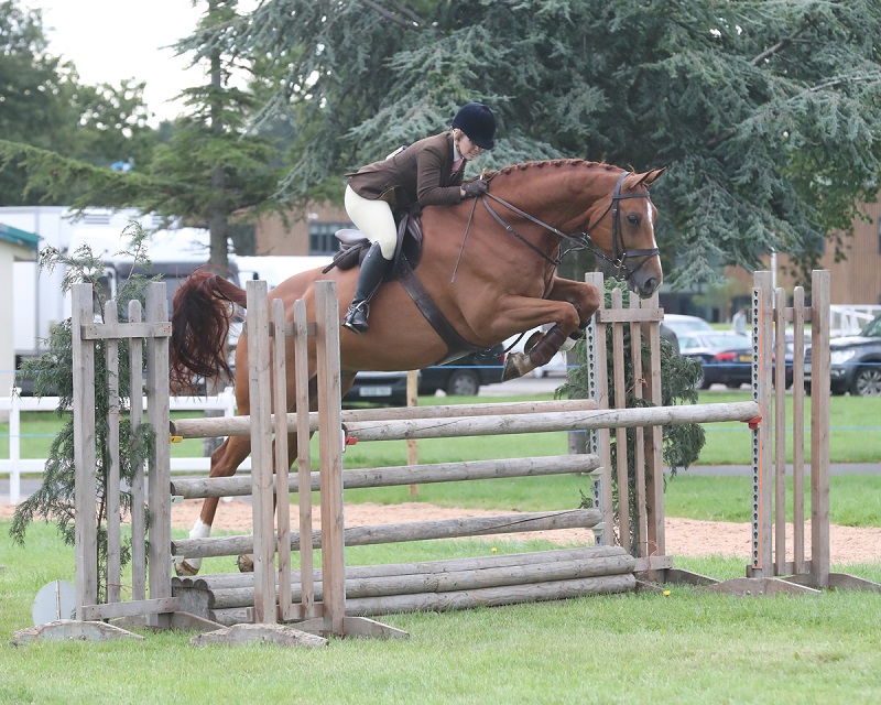 stoneleigh horse show