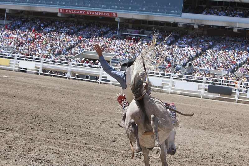 ca;gary stampede ranch rider