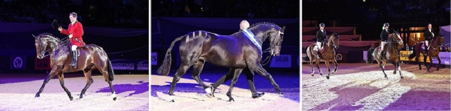 hoys winners day 3