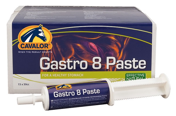 gastro