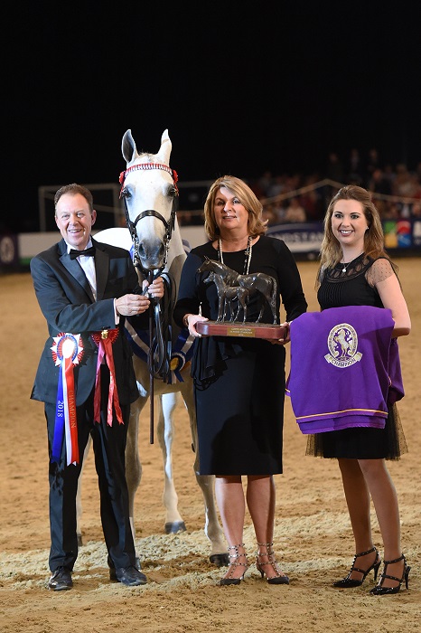 Cuddy Supremem in hand Champion HOYS 2018