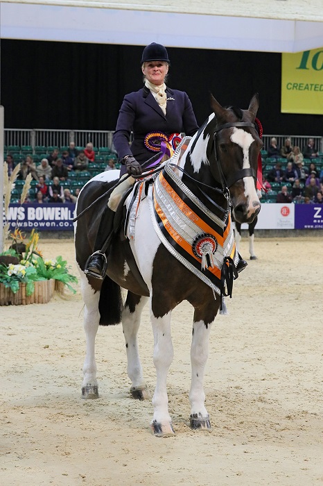 maxi cob of the year hoys 2018