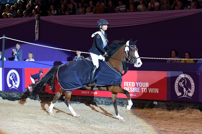 equitheme showjumping hoys 2018