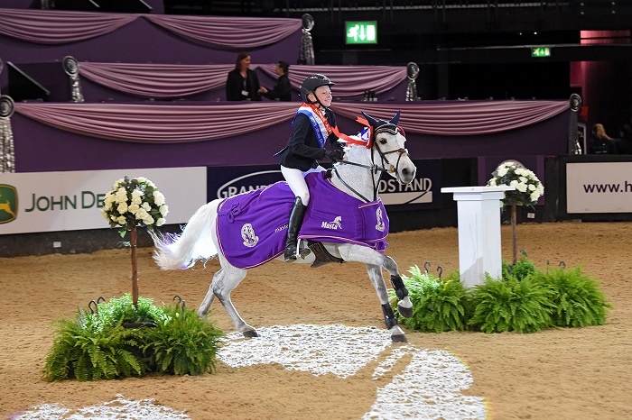 showjumping 128cm hoys 2018