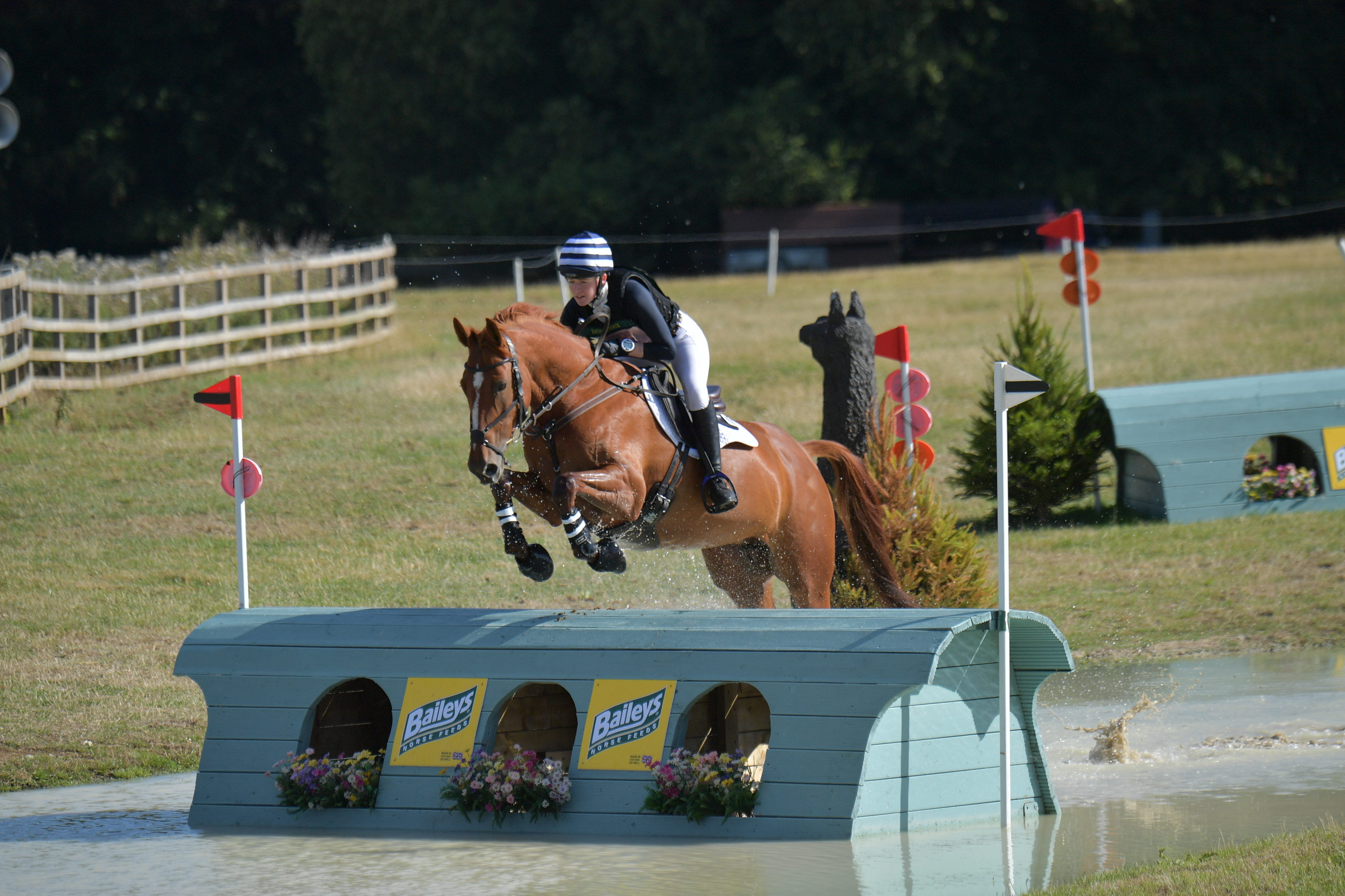 Bishop Burton water jump