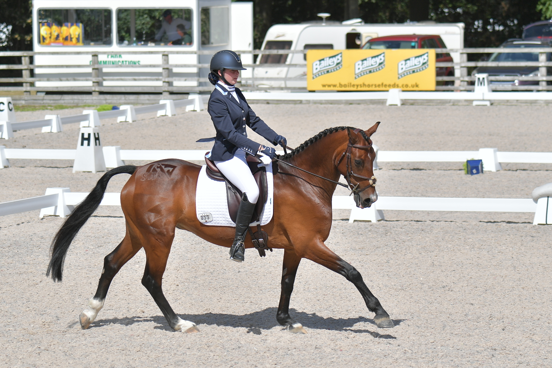 Dressage