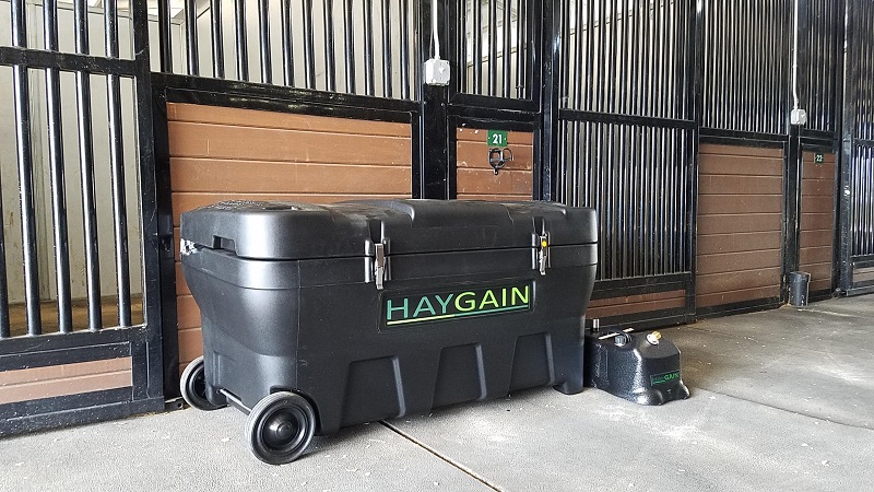 haygain weg equestrian news