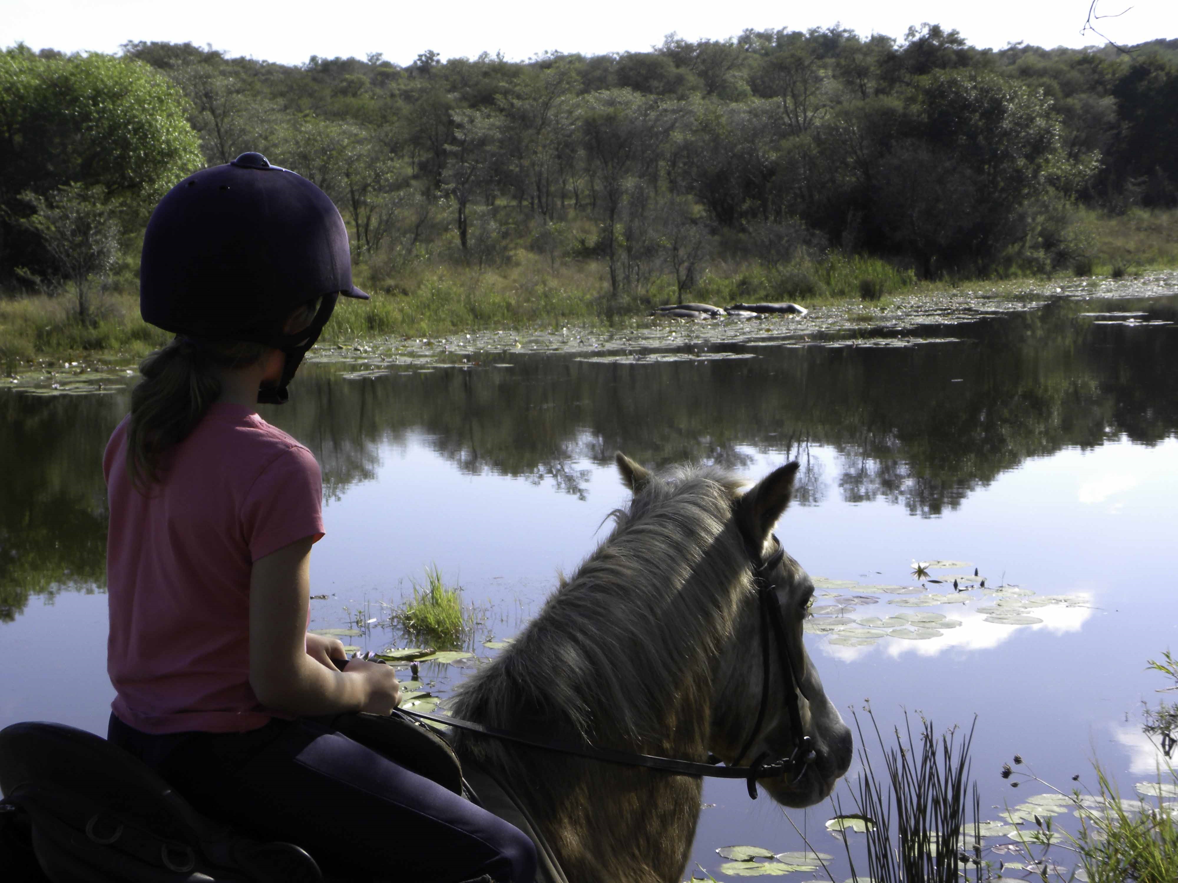 horizon horseback adventures ranch rider