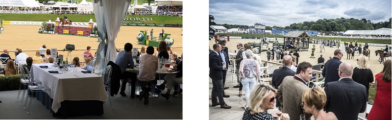 equestrian news Bolesworth hospitality