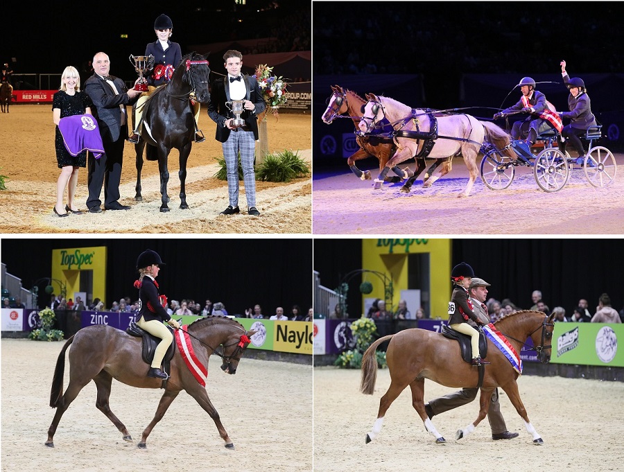 hoys winners day 4