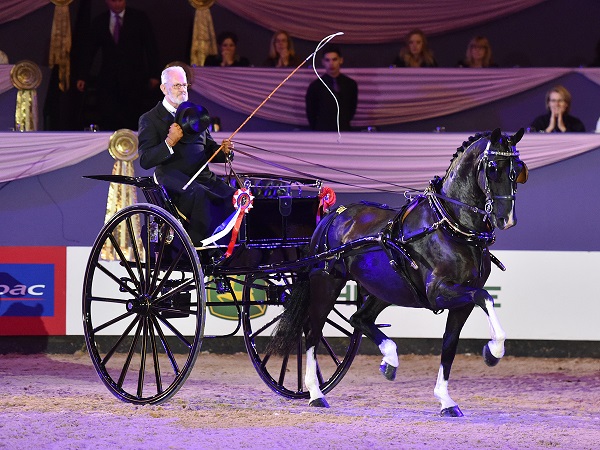 harness horse HOYS