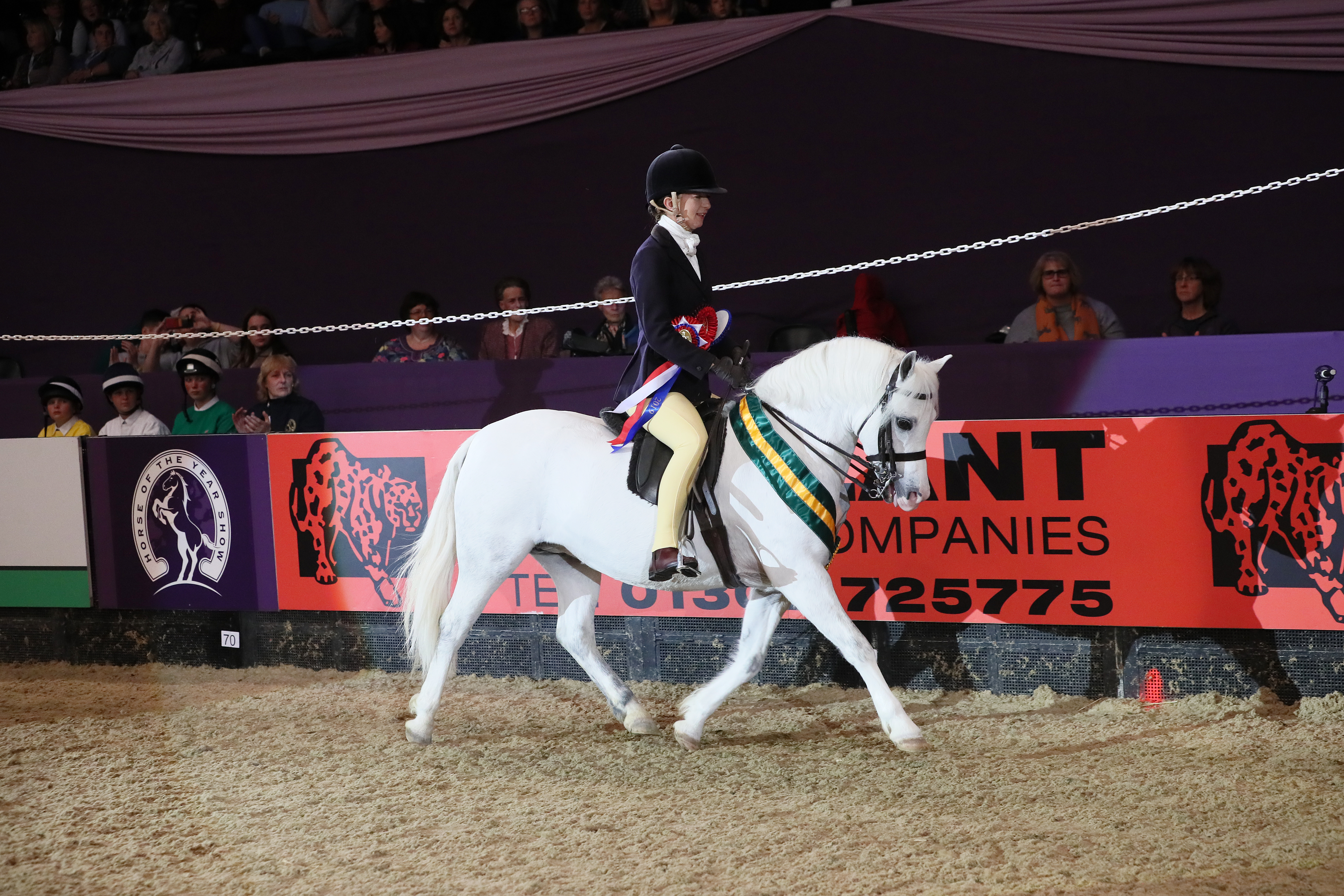 national pony at HOYS 2019