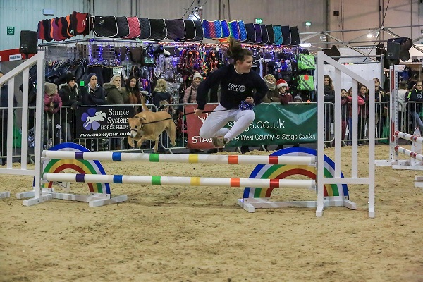 Pony club challenge west country equine fair