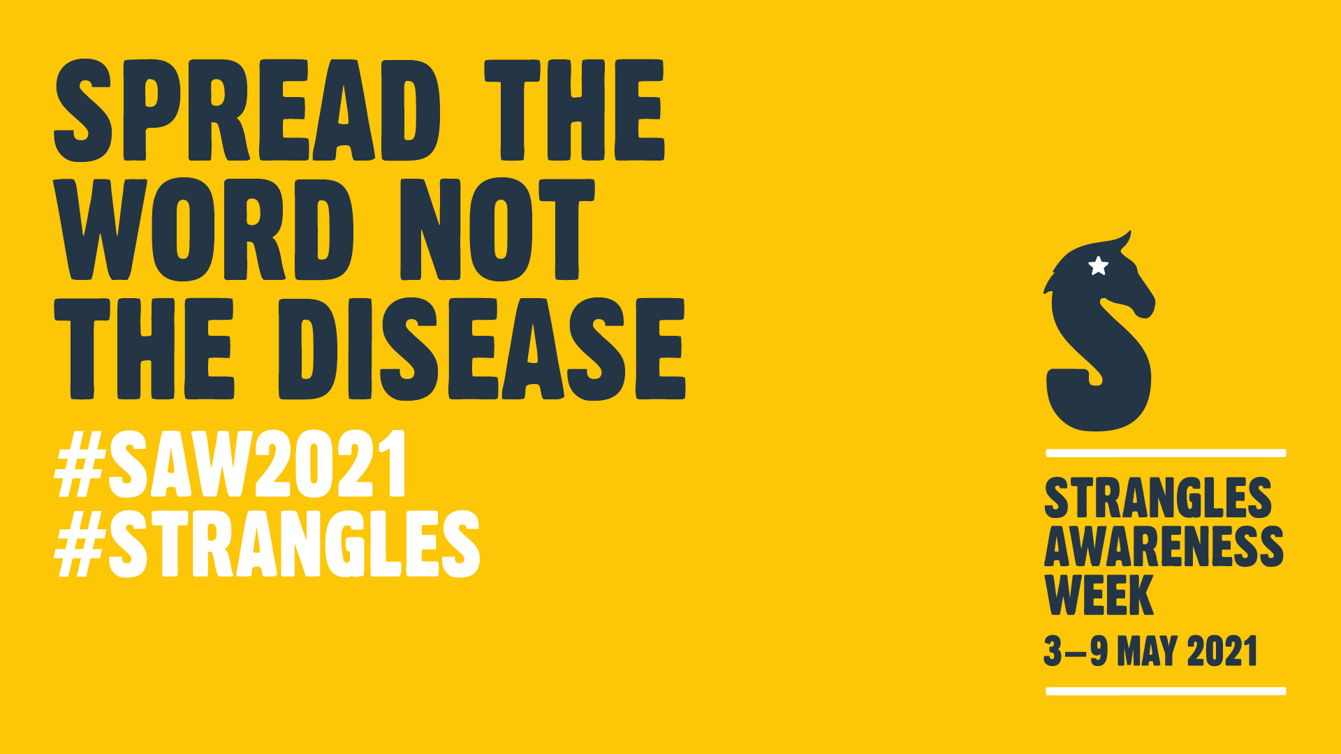 Redwings Strangles Awareness Week campaign banner