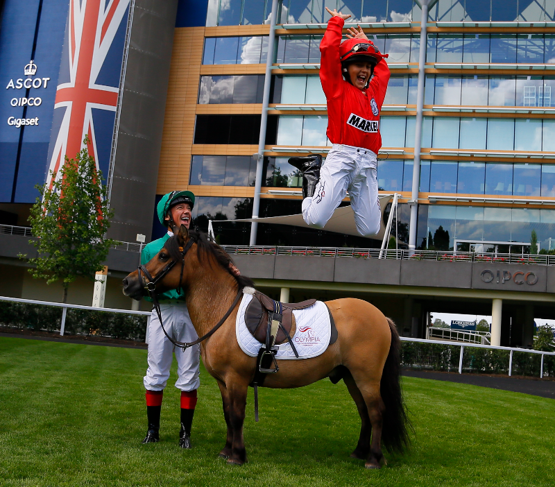 shetland pony grand national Olympia