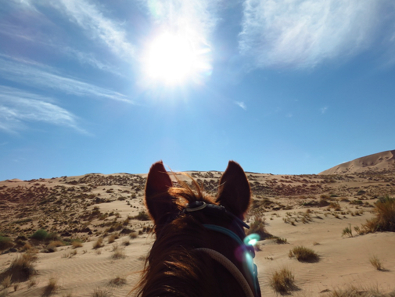 namibia ranch rider