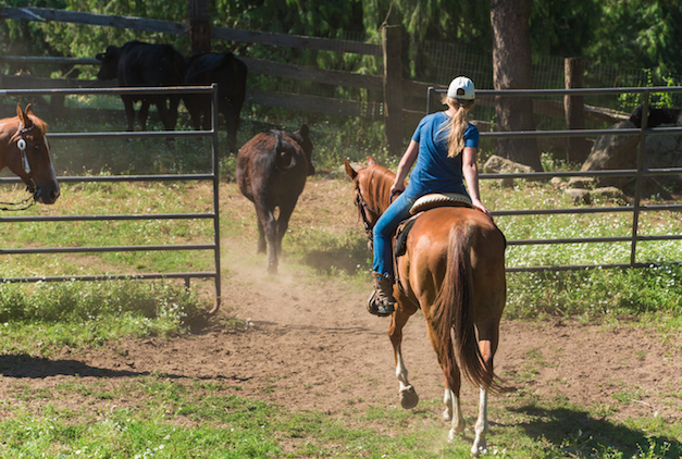 teen rider ranch rider