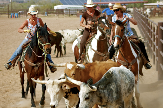 ranch rider working