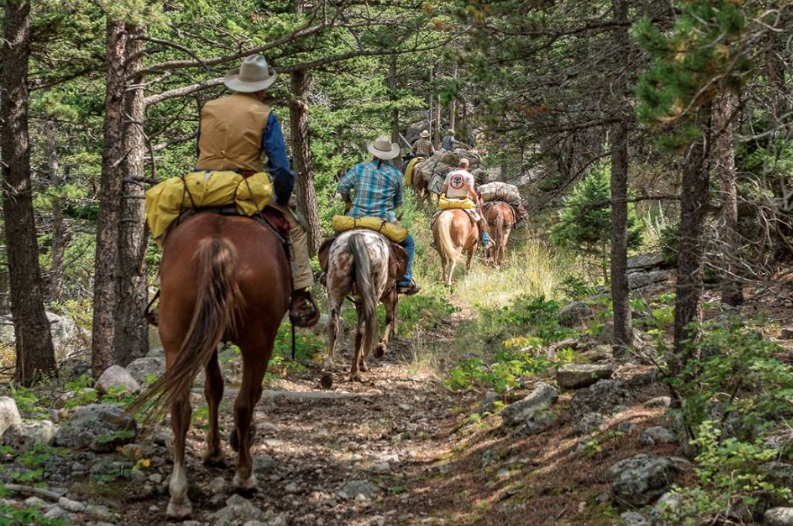 trail ride montana ranch rider