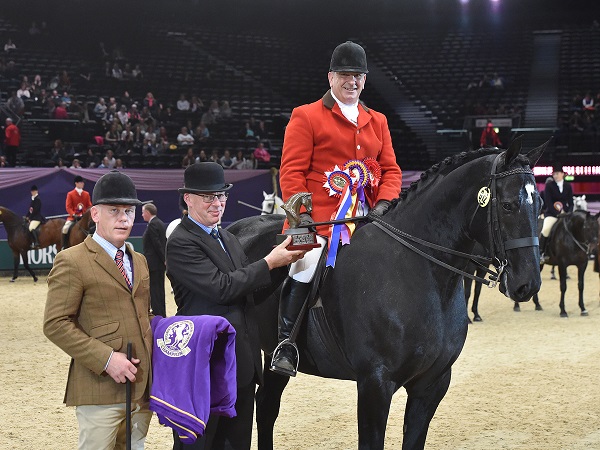 small show hunter champion HOYS