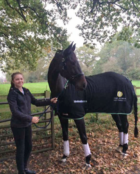 ideal saddles british dressage