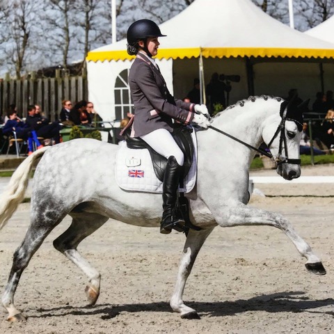 Sophie  Williams on Ella for Equitheme