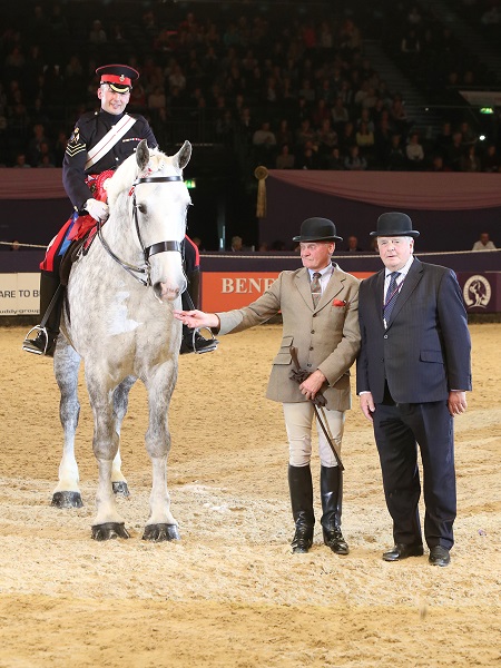 barber family ridden heavy horse HOYS