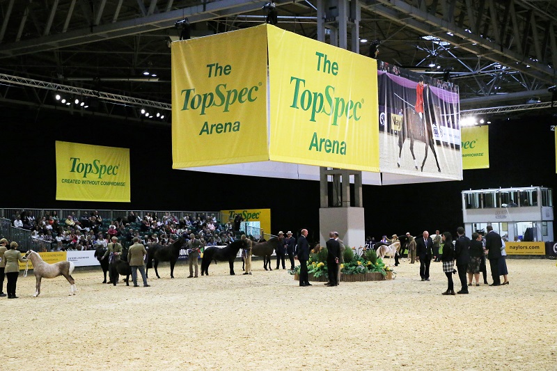 topespec arena HOYS