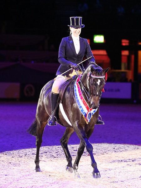 topham barnes hack champion HOYS