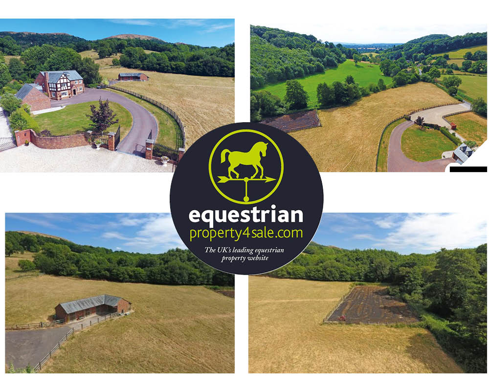 equestrian property for sale