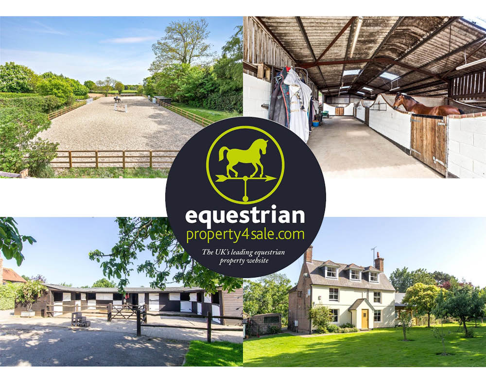 lower stunts green farm equestrianproperty4sale