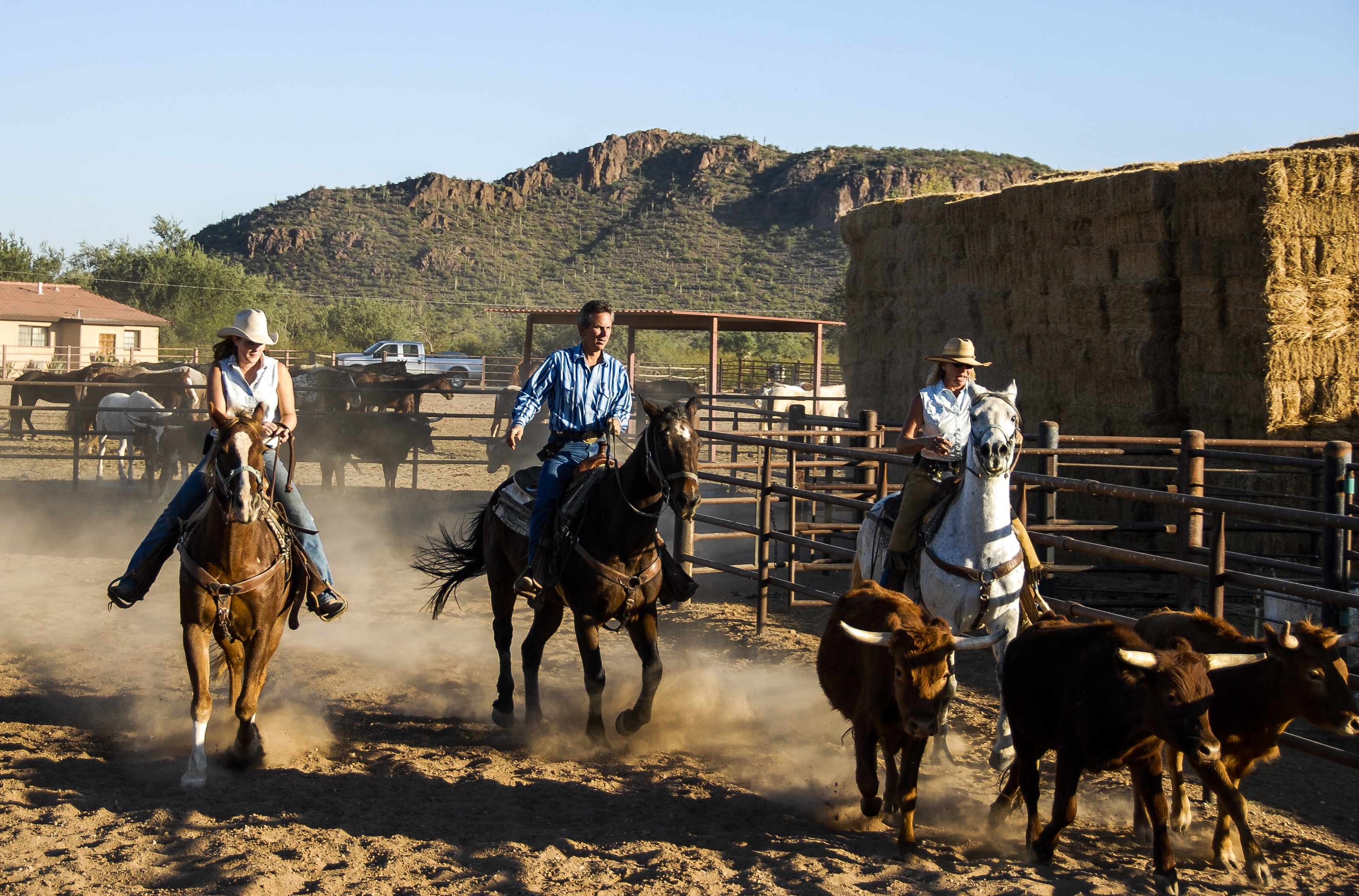 white stallion guest ranch ranch rider