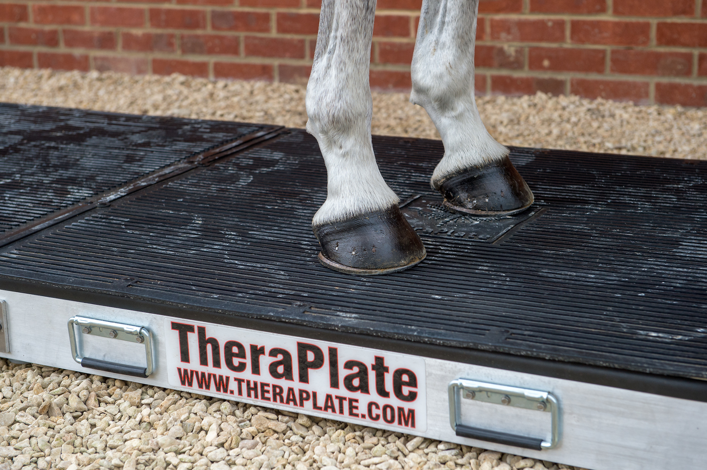 Win a theraplate