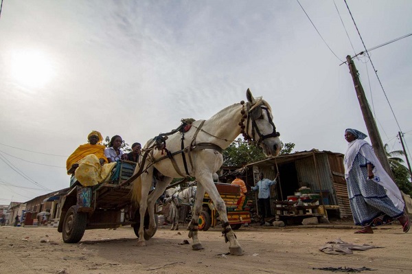 senegal