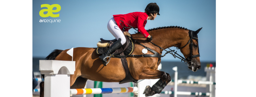 Arc equestrian news