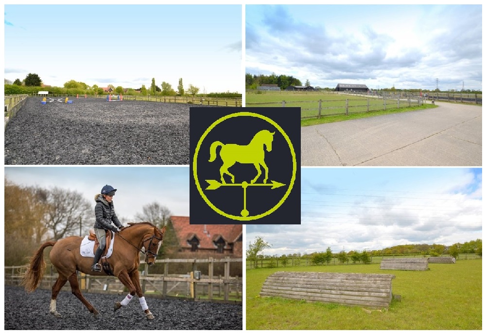 equestrian property for sale