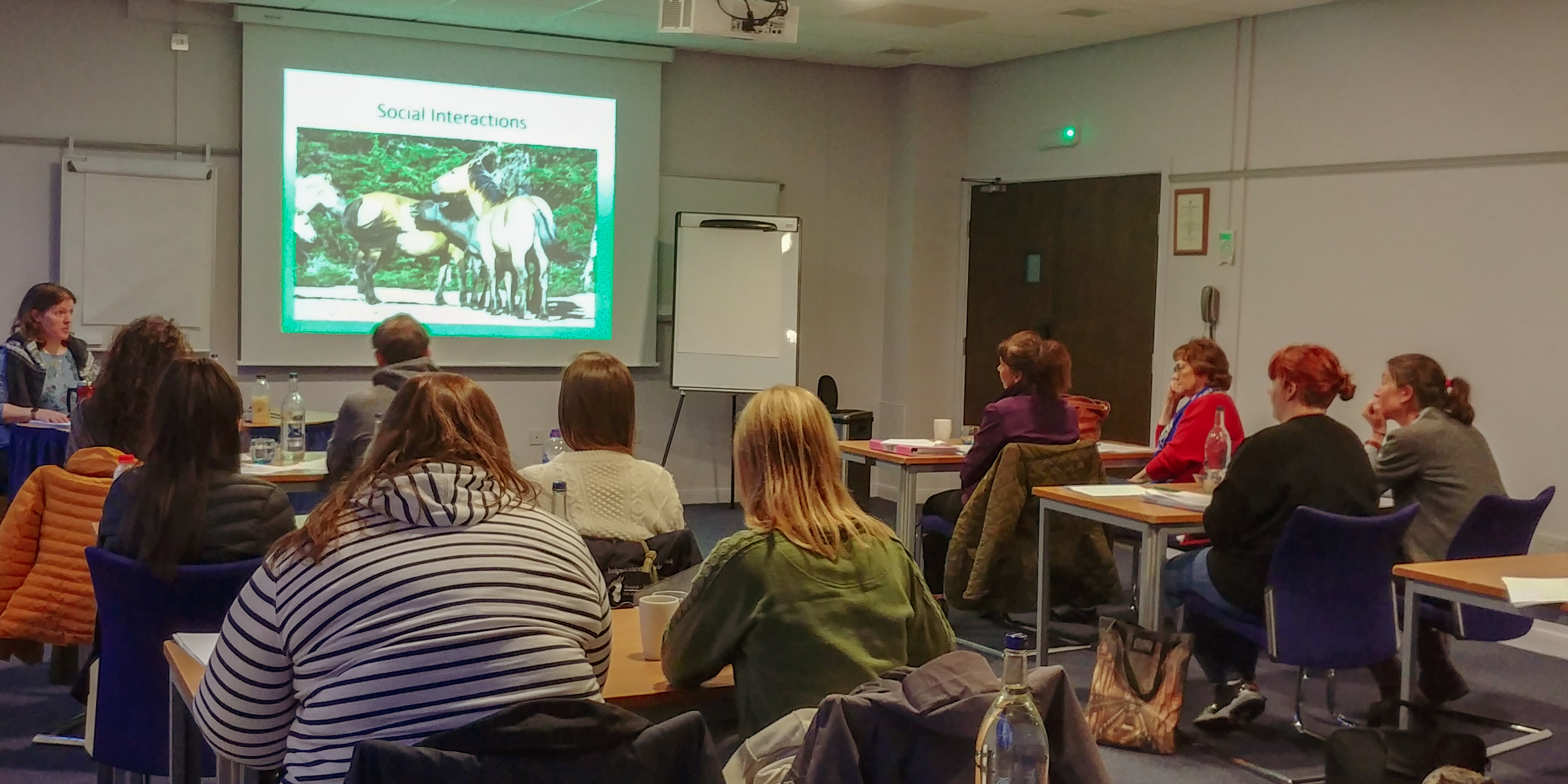 equine behaviour affiliation courses