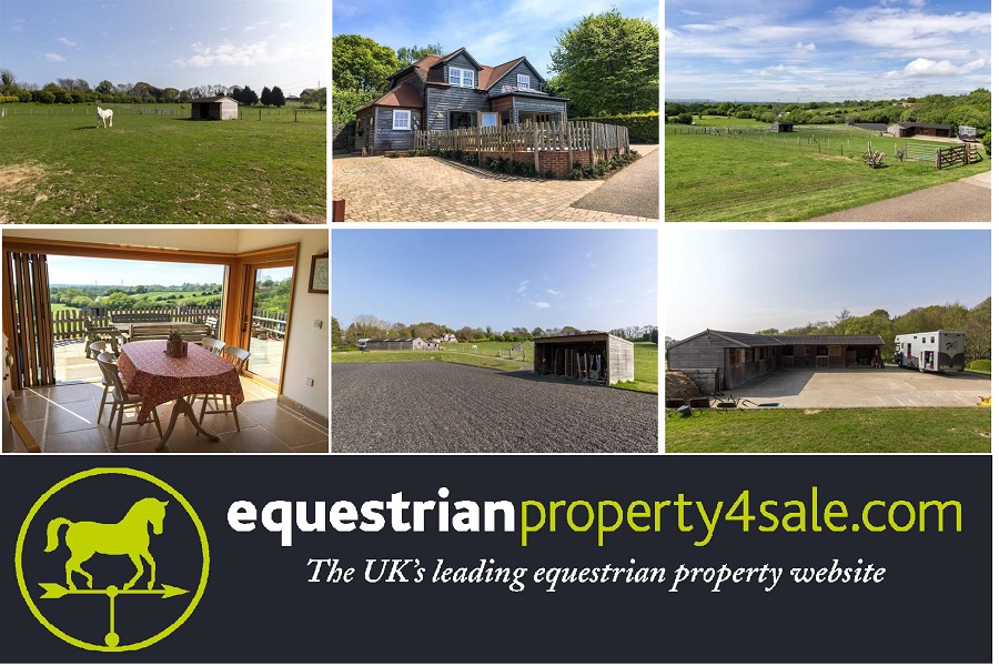 equestrian property for sale