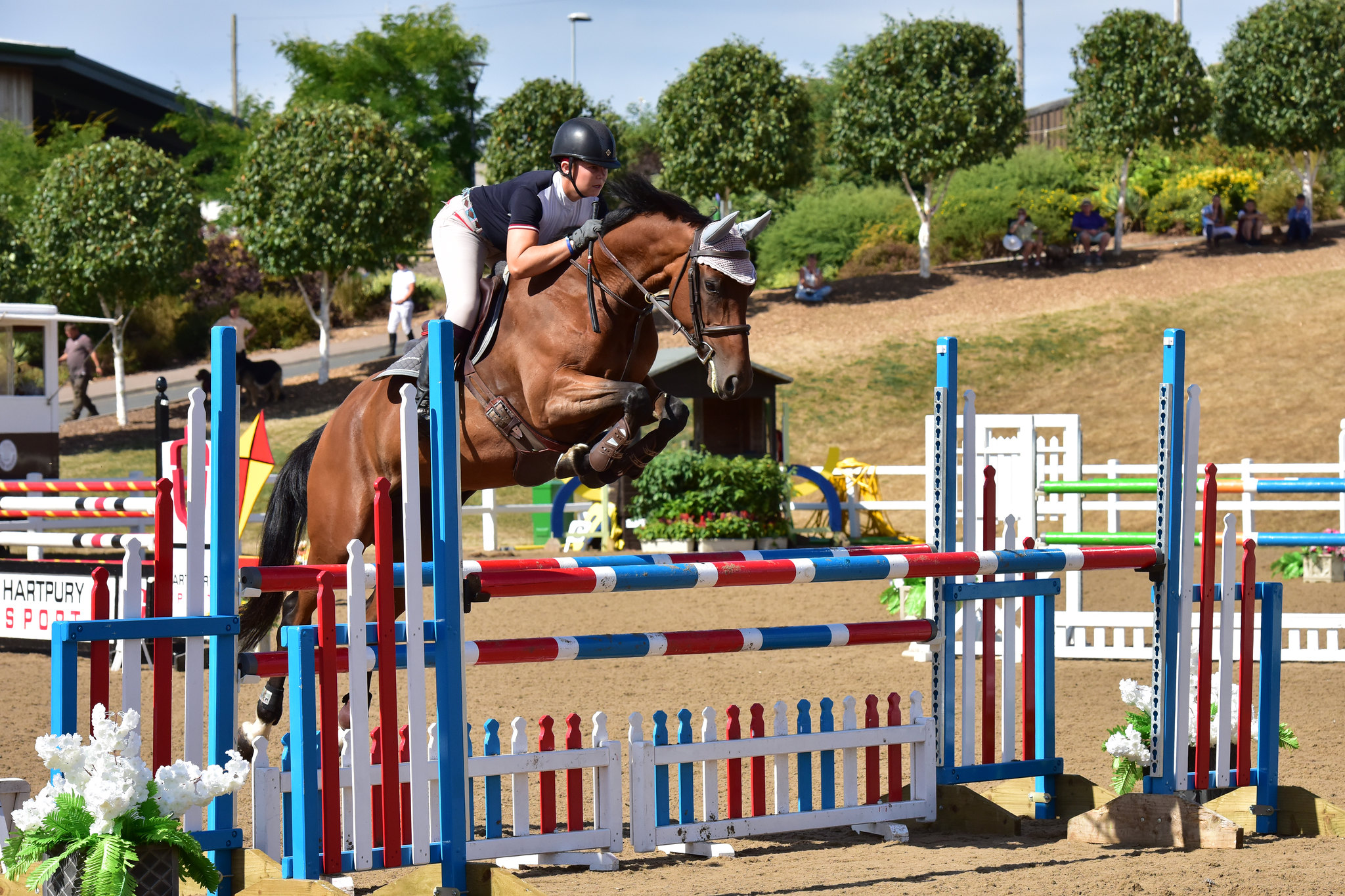 hartpury showjumping spectacular 2019