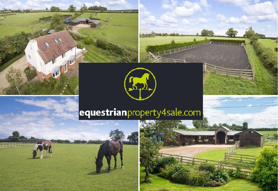 equestrian property for sale