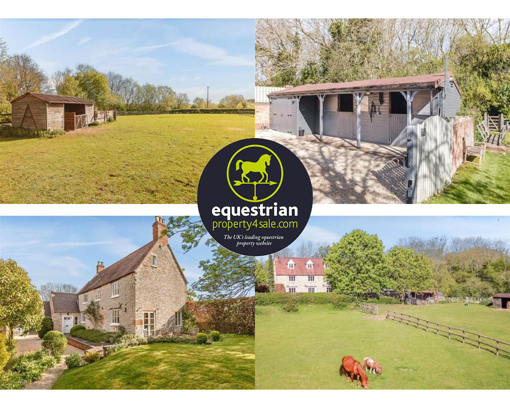 equestrian property for sale