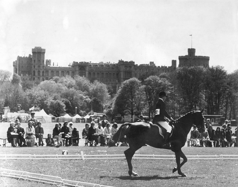 Princess  Anne Royal Windsor