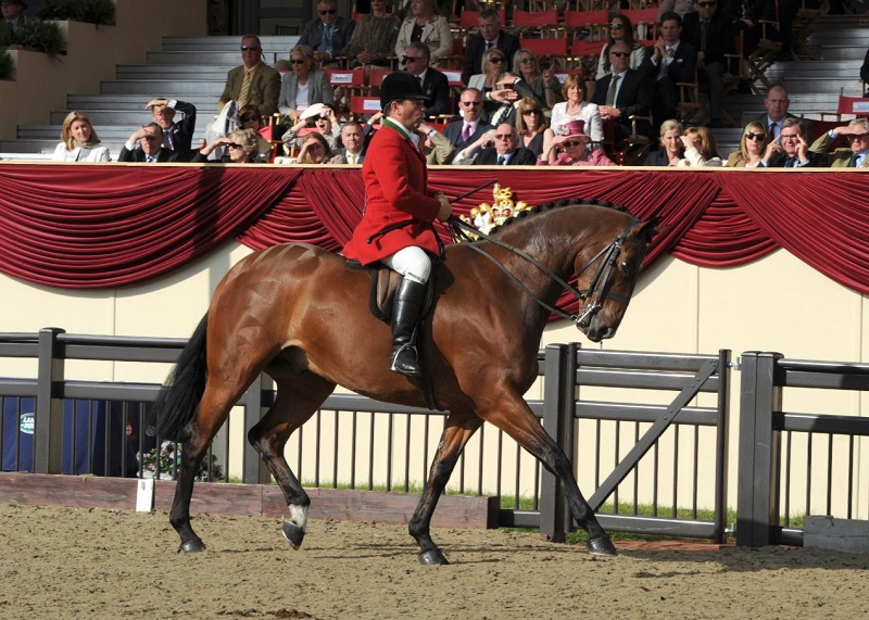 robertwalker rwhs 2018