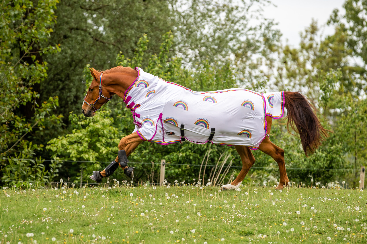 NHS horse rug