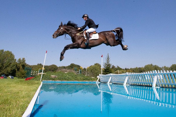 shane breen wins at hickstead